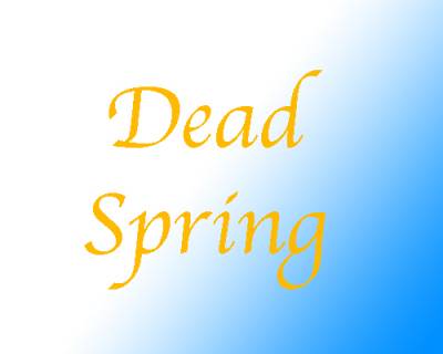 logo Dead Spring